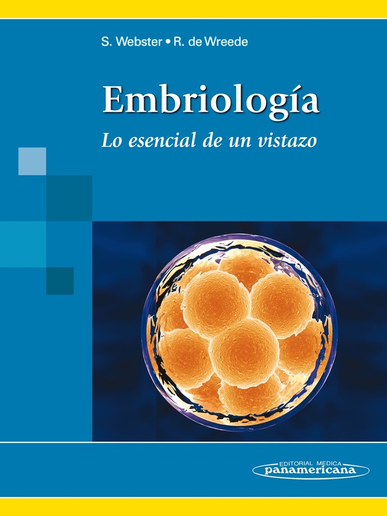 Texto y Atlas Anatom.3aEd,T2