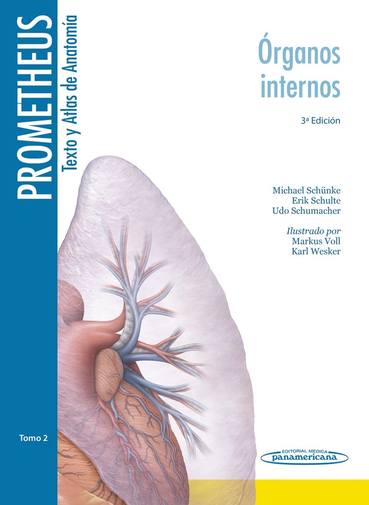 Sistema Fascial