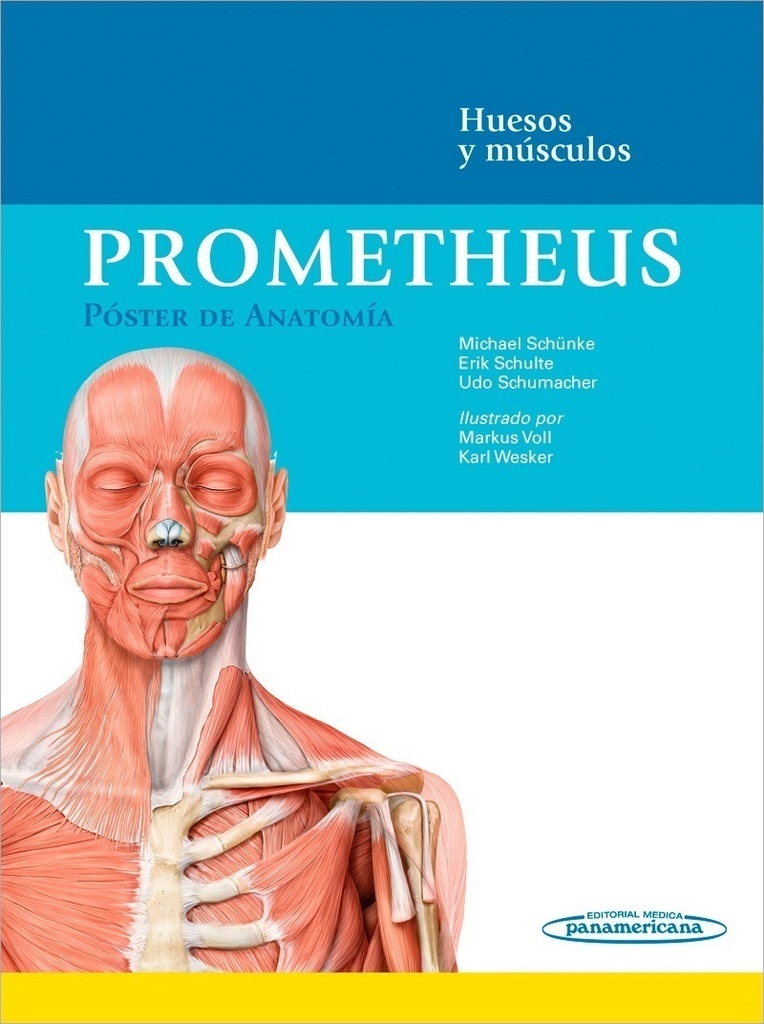 Poster Anatomia.HuesosMusc.