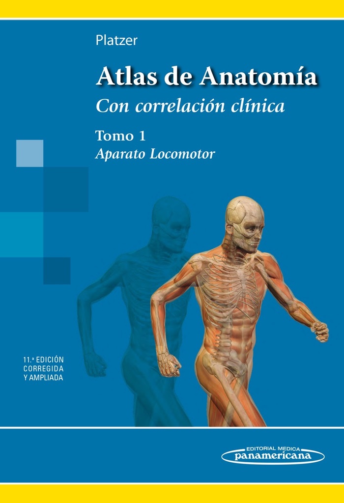 Poster Anatomia.HuesosMusc.