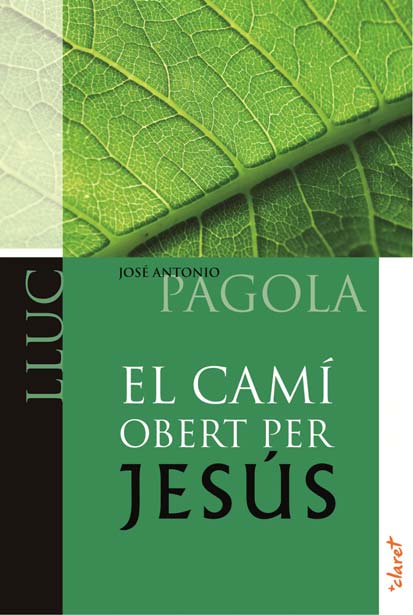 El camí obert per Jesús. Mateu
