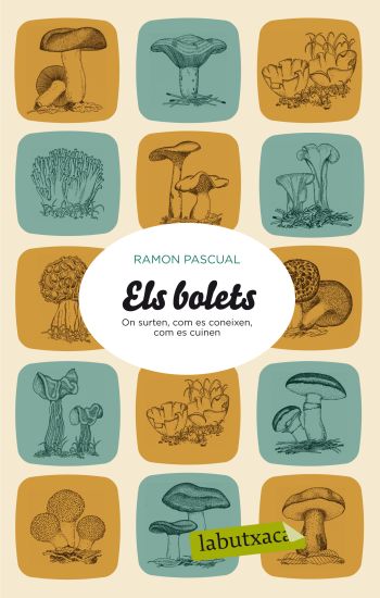 Els bolets Els bolets