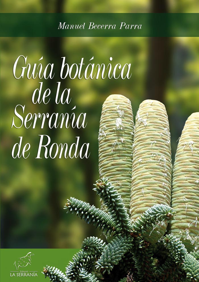 Els noms dels bolets