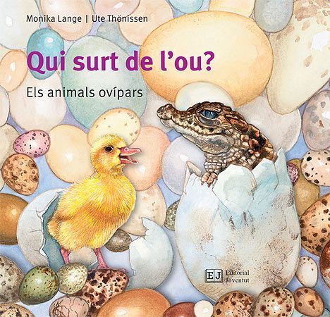 Qui surt de l'ou?