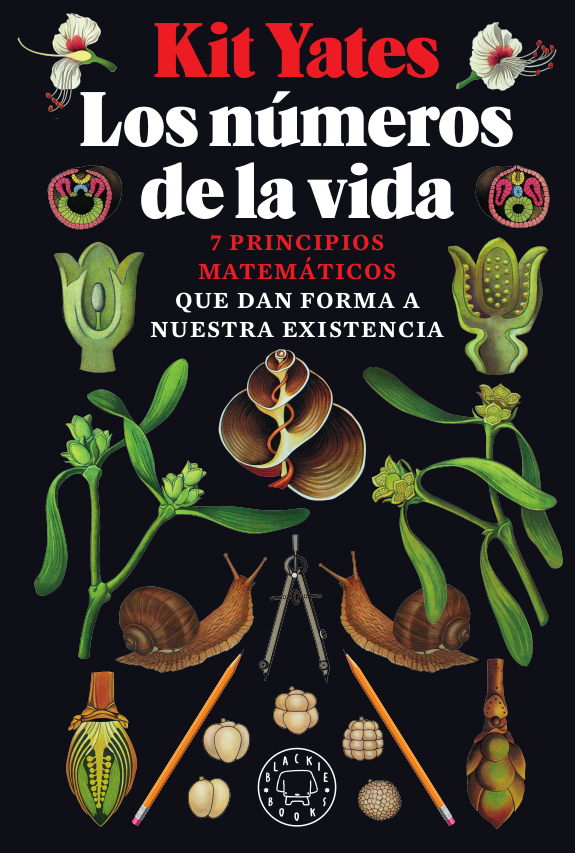 LA AMISTAD DEBIDA