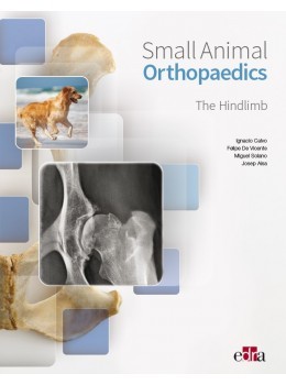 Small animal orthopaedics. The hindlimb