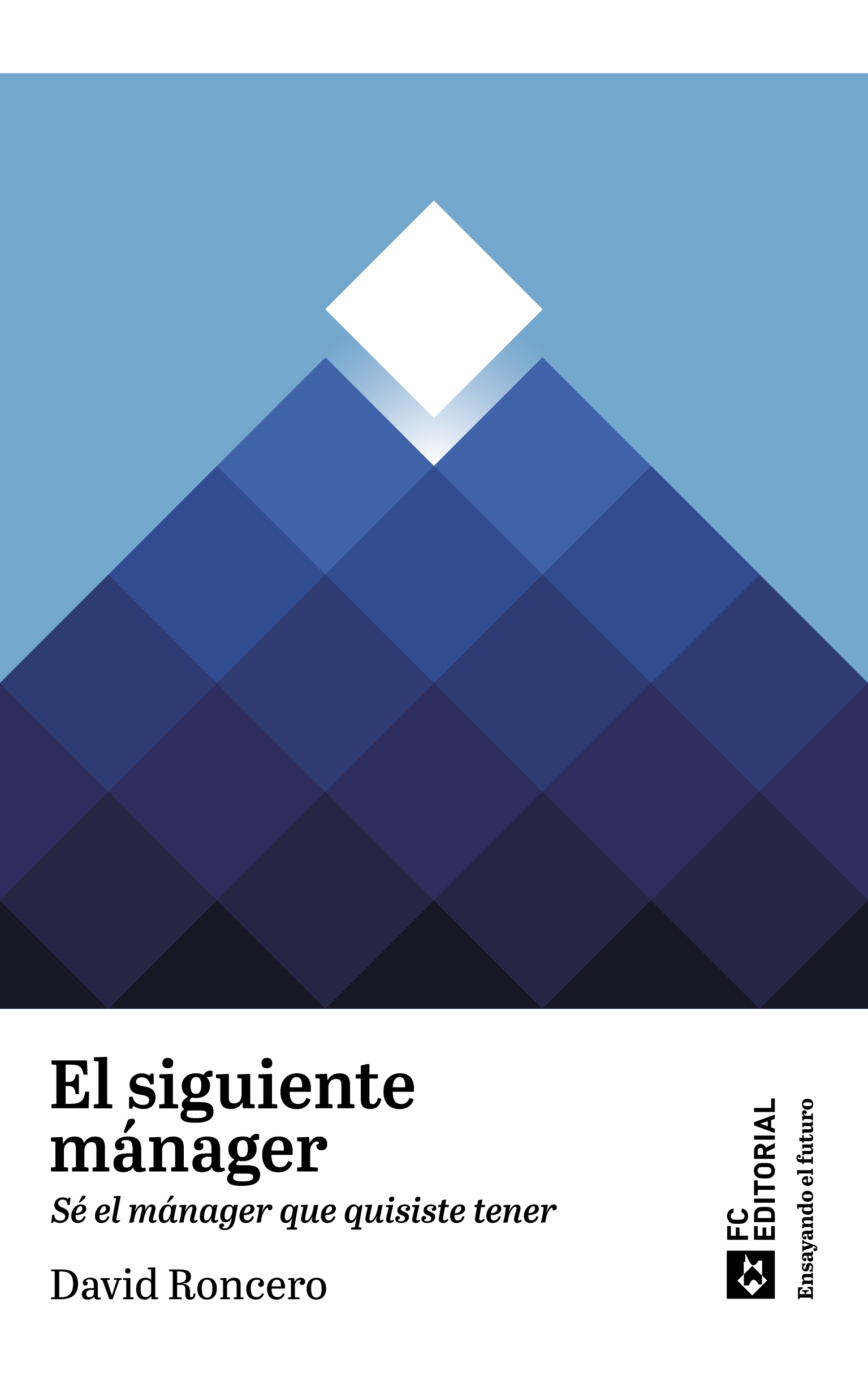 Dirección y gestión de proyectos de tecnologías de la información