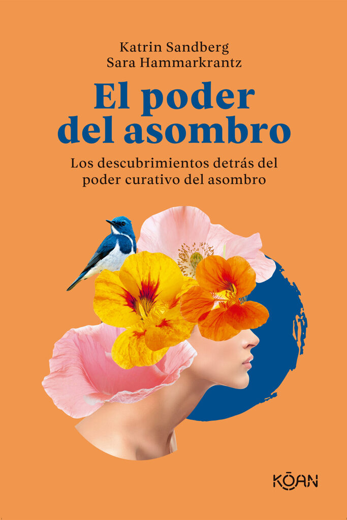 Vuela