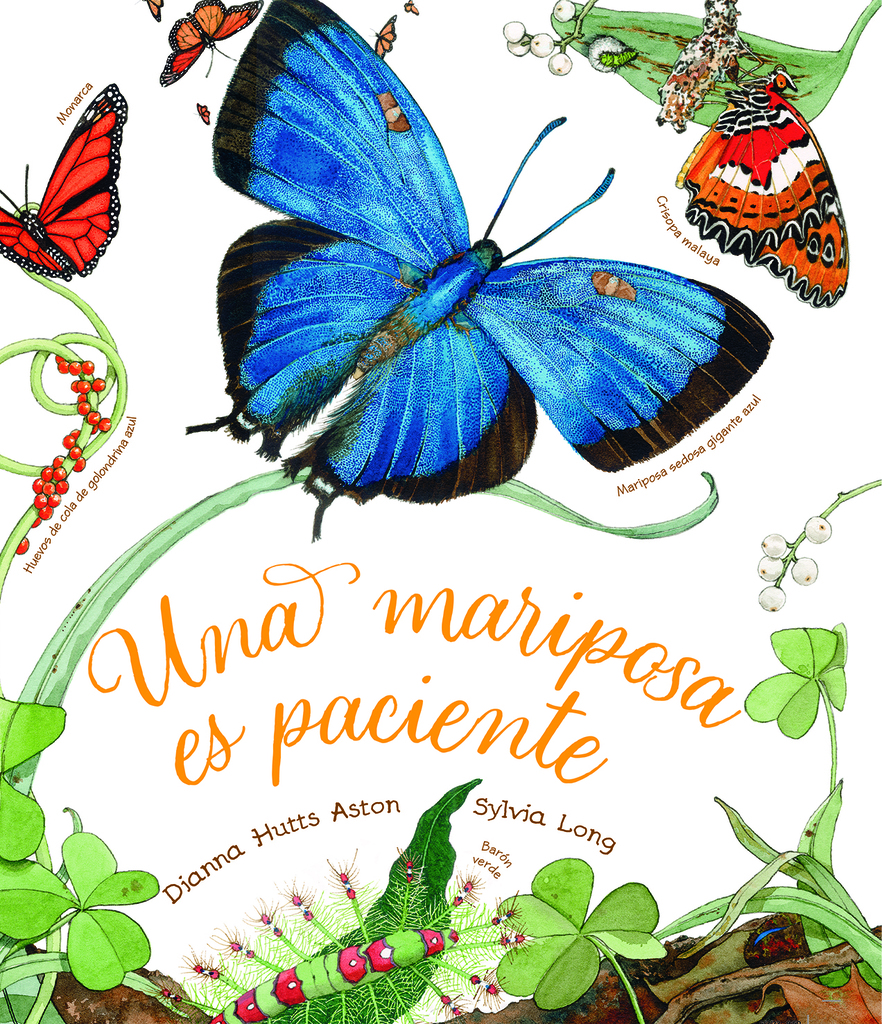 El fil de la vida