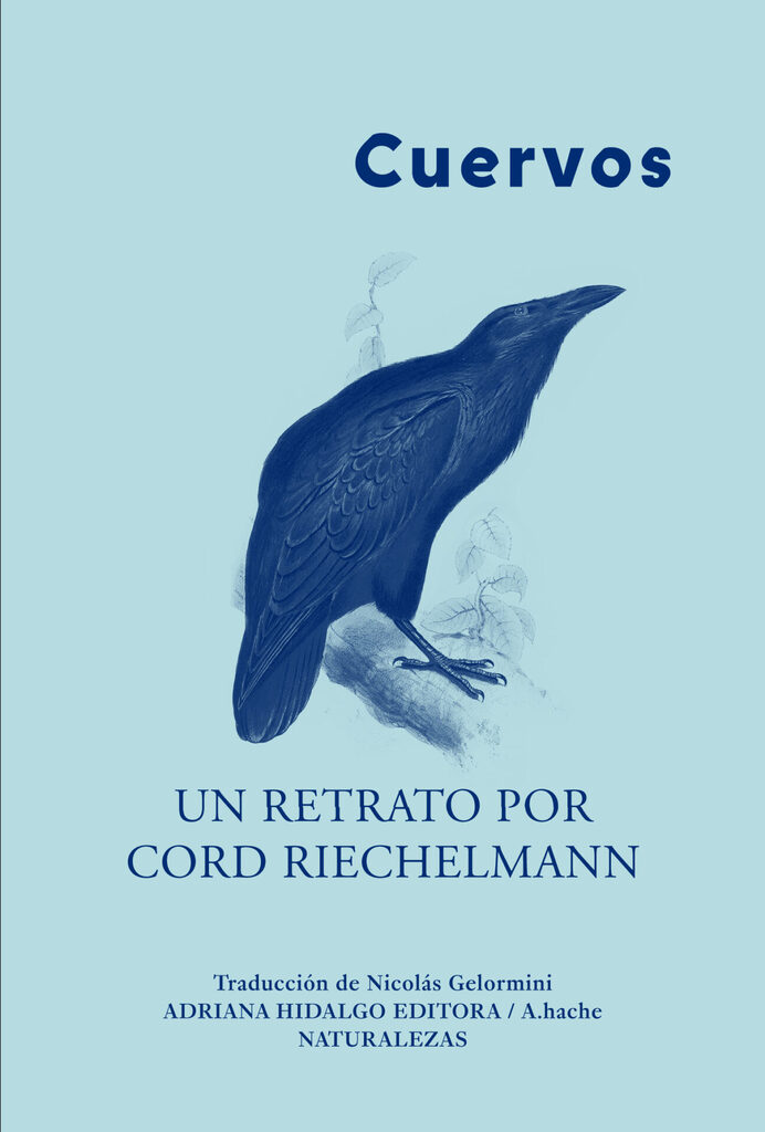 Un arte ecológico