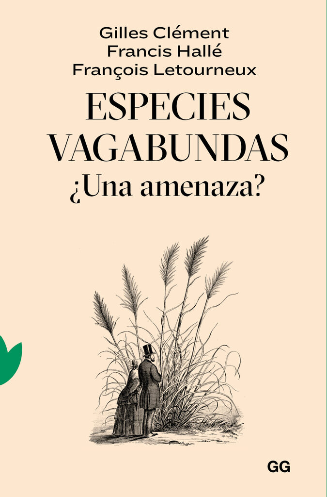 Elogio de las aves de paso