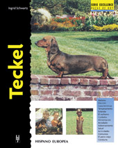 Fox Terrier