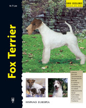 Fox Terrier