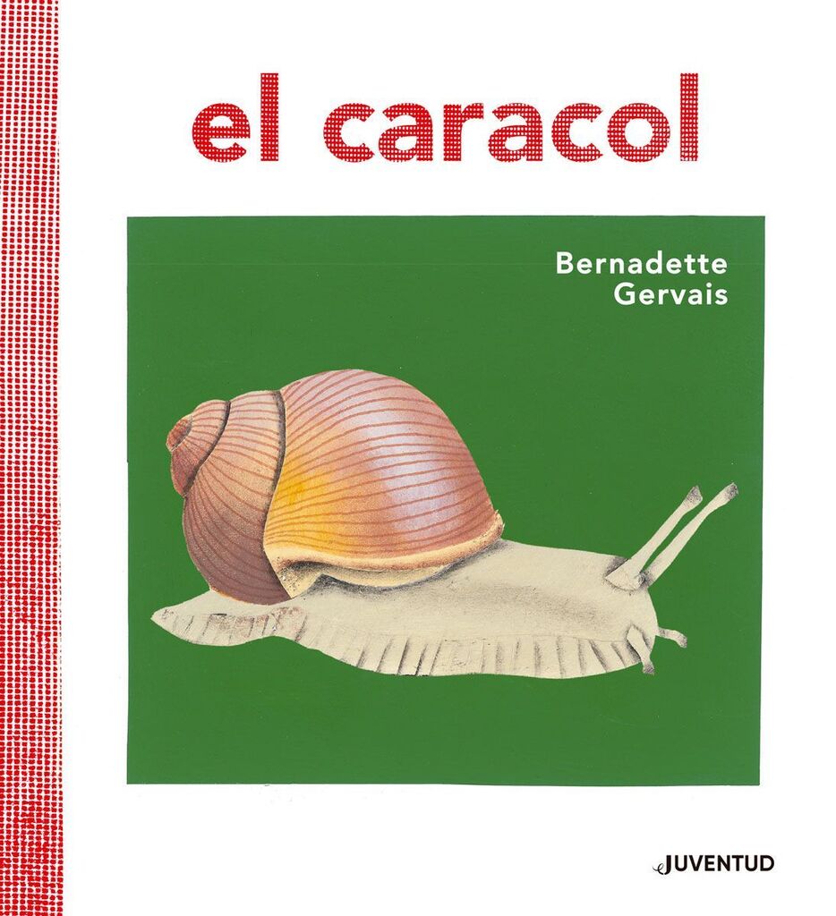 L'ànec pagès