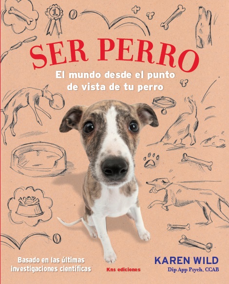 El juego es poderoso