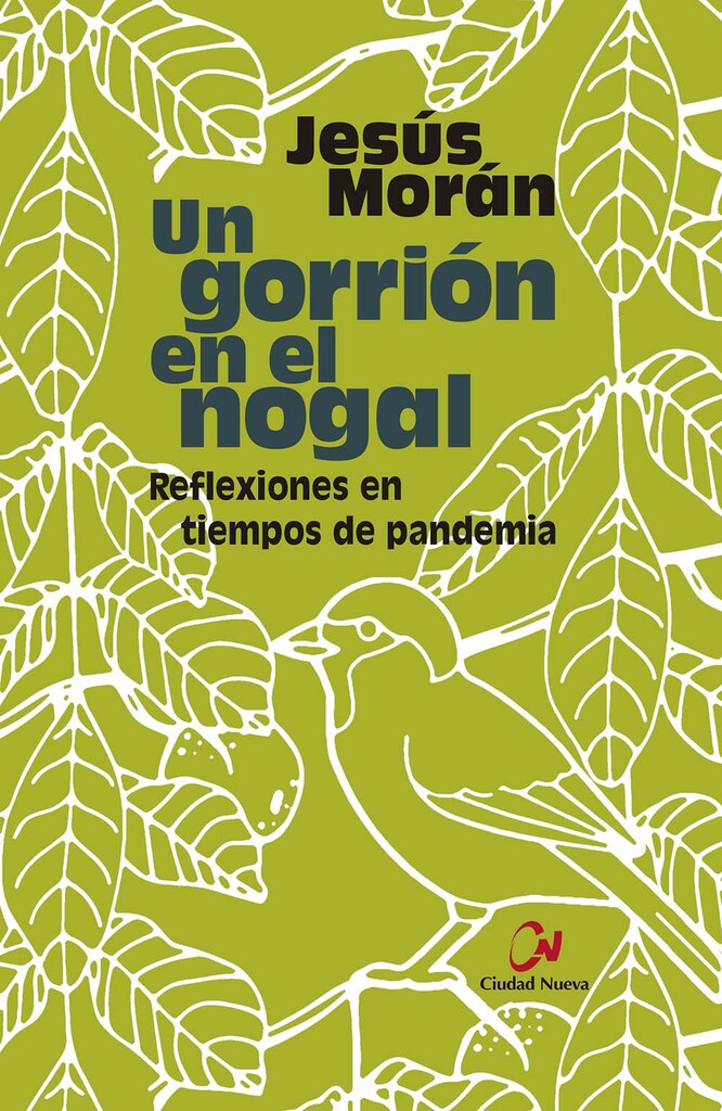 Luz que envuelve al mundo