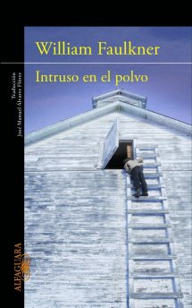 Desde la sombra