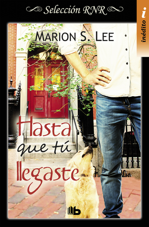 Promesa audaz (La saga Montgomery 2)