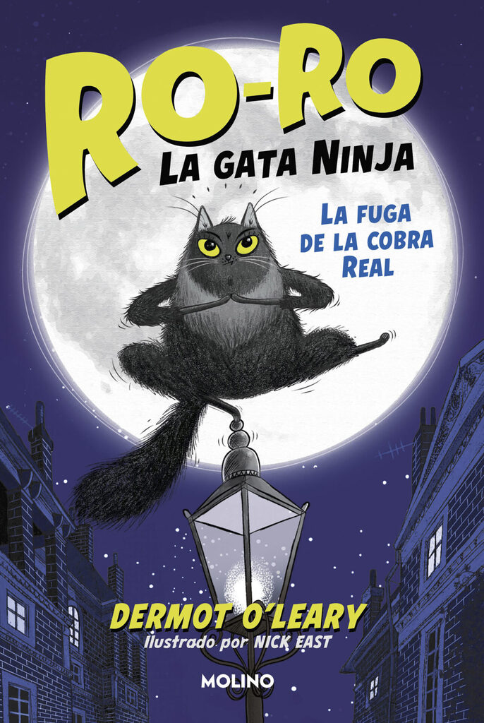 Sèrie Ninja Kid 11 - Ninges artistes!