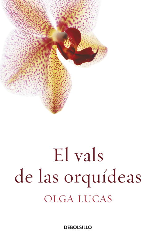 Caléndulas