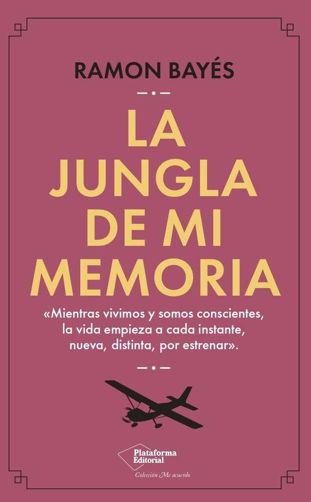 Lo que alcancé a contarte