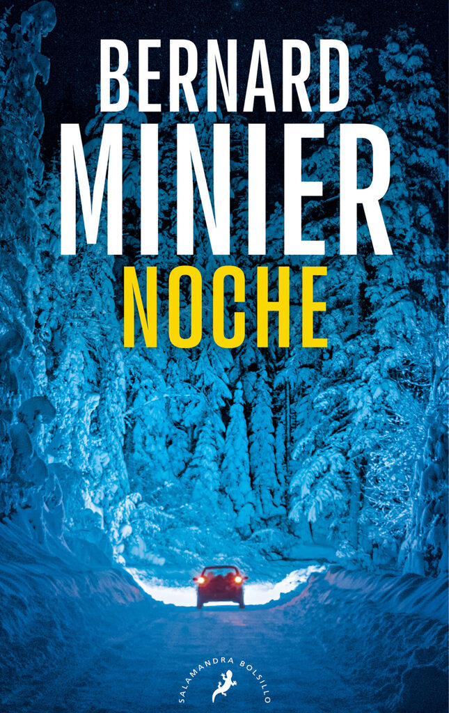 Noche (Comandante Servaz 4)