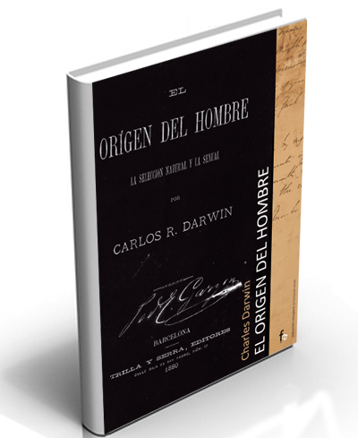 Revista Manual nº6