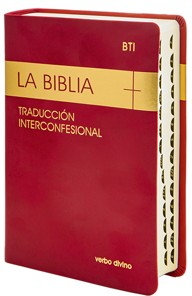 Biblia de Peregrino. Estudio