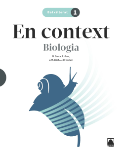 Rango. Matemáticas aplicadas a las CCSS 2 BCH