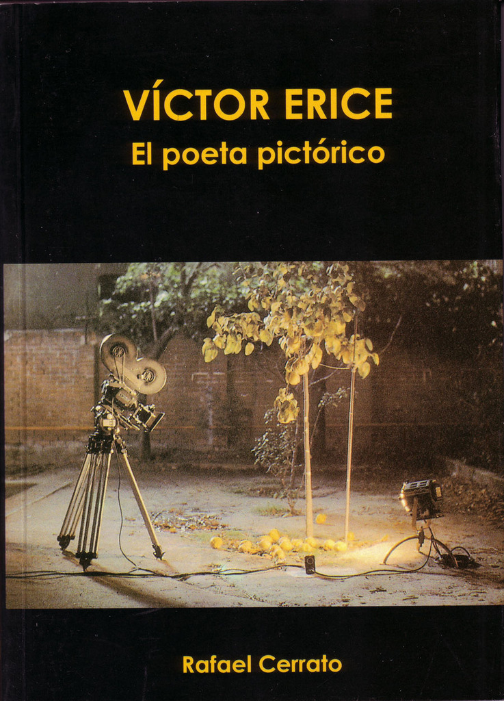 Víctor Erice. El poeta pictórico