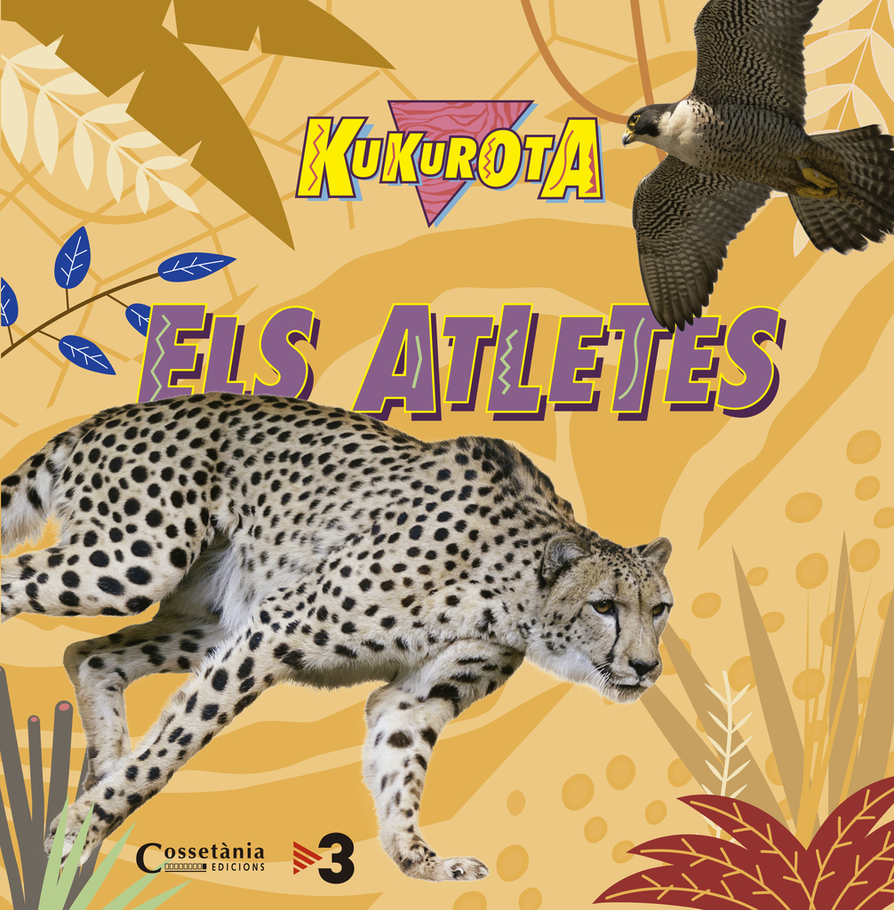 Aprendo los números, letras, colores y formas