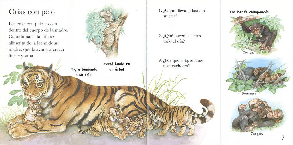 Mundo animal. Crías de animales Mundo animal. Crías de animales