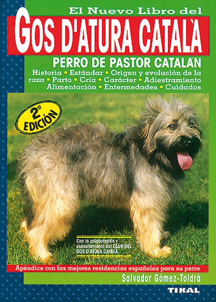 Conejo enano