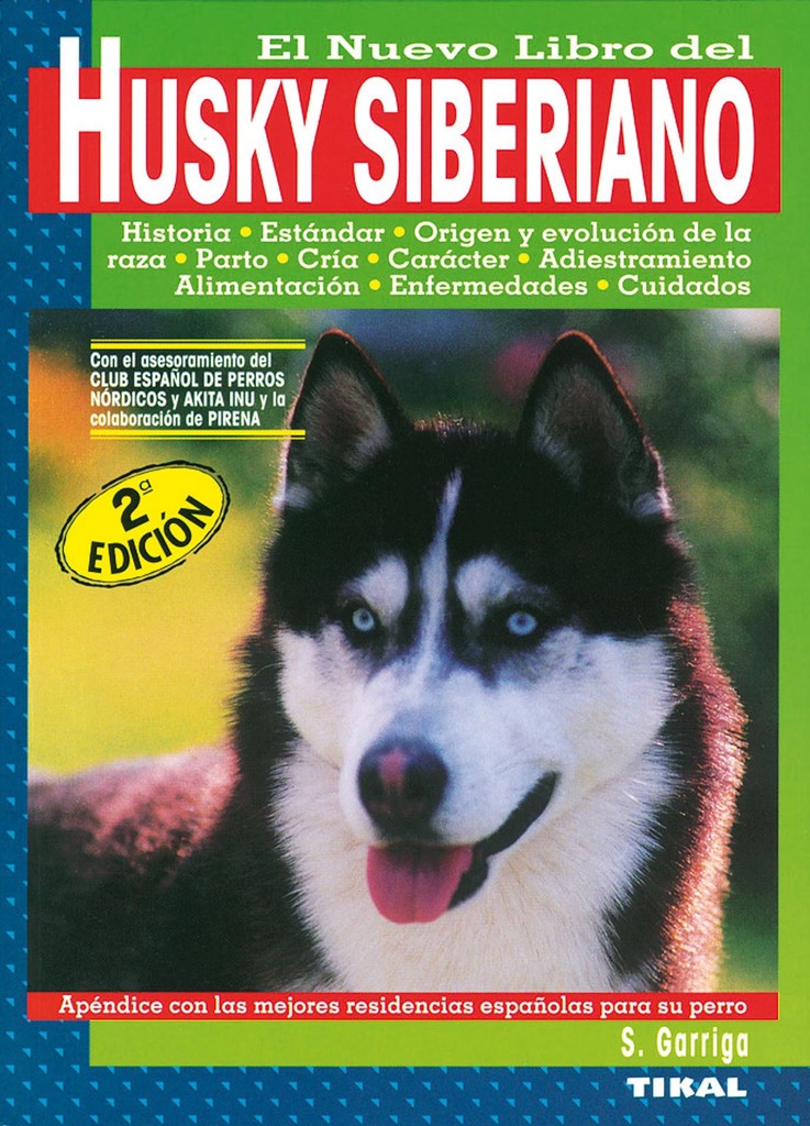 Conejo enano