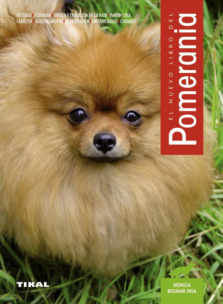 Perro de agua español