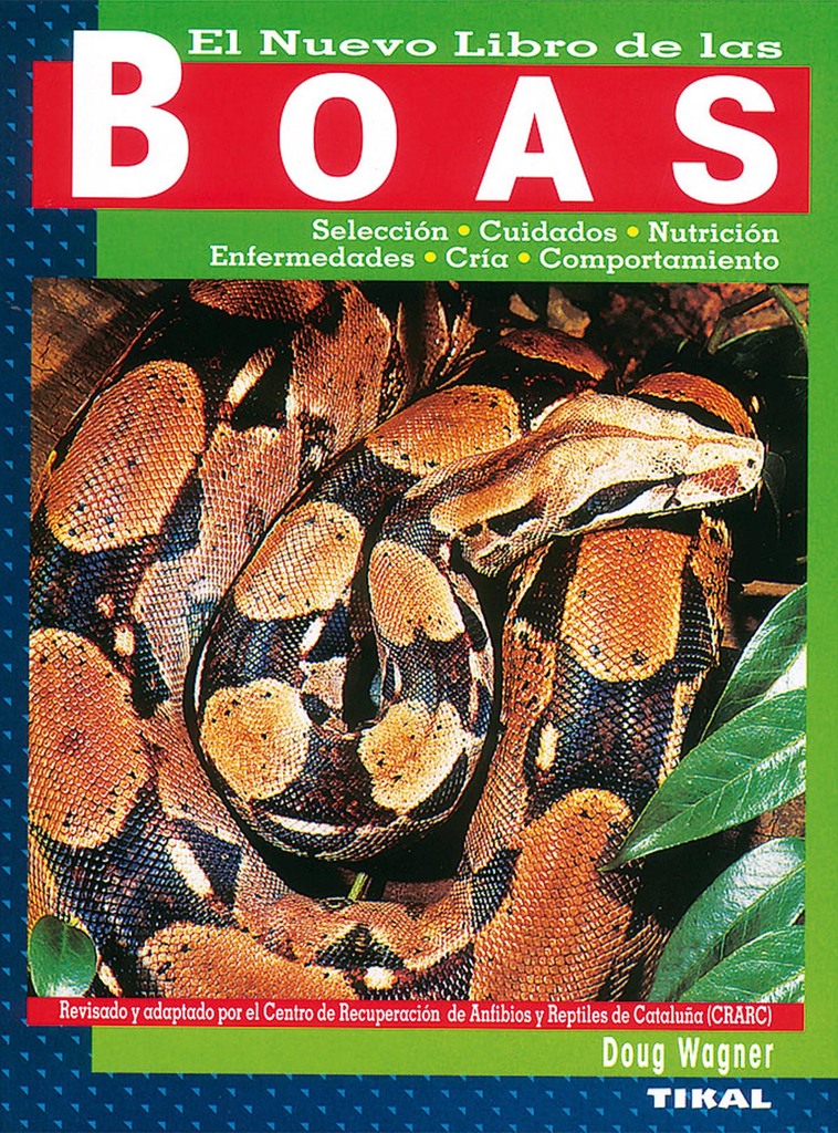 100 preguntas sobre los reptiles