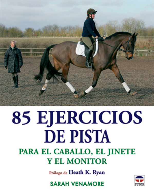 EL CABALLO DE RAID