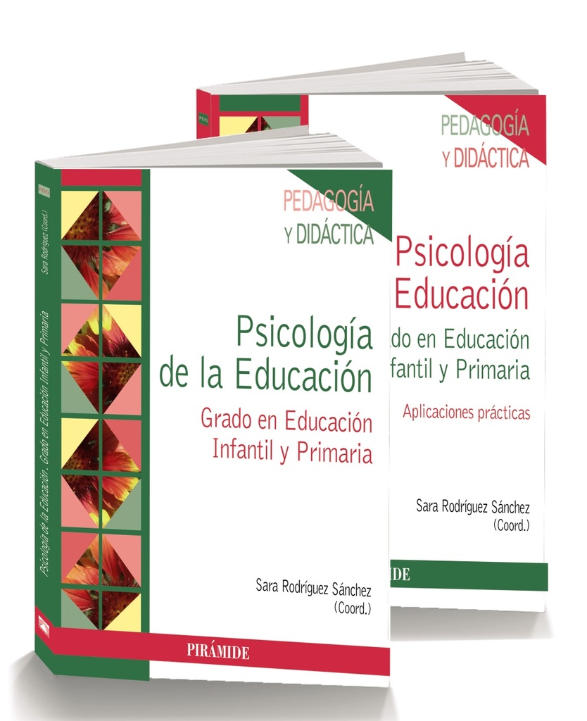 PROGRAMA PREVIO. Prevenir la violencia en las relaciones de noviazgo