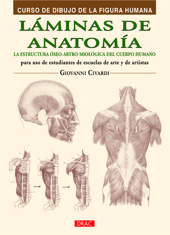 Taller de dibujo II