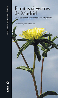 FLORES. El esplendor de la tierra