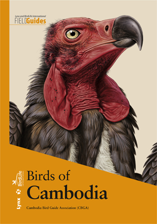 Extremely Rare Birds in the Western Palearctic