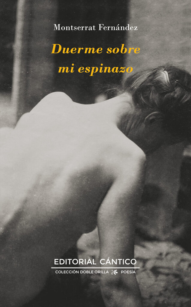50 Canciones de amor y droga