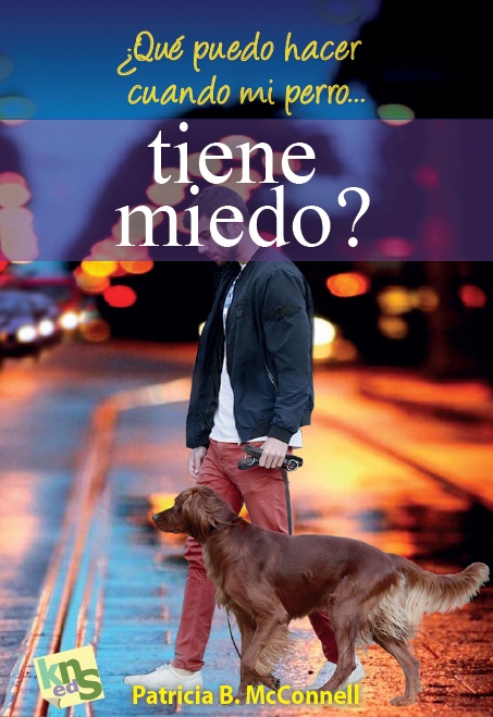 Jugar con el perro y adiestrarlo