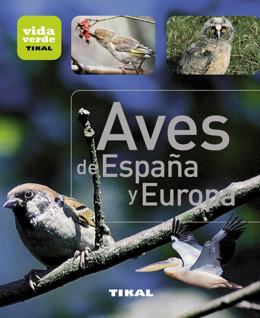 Agapornis