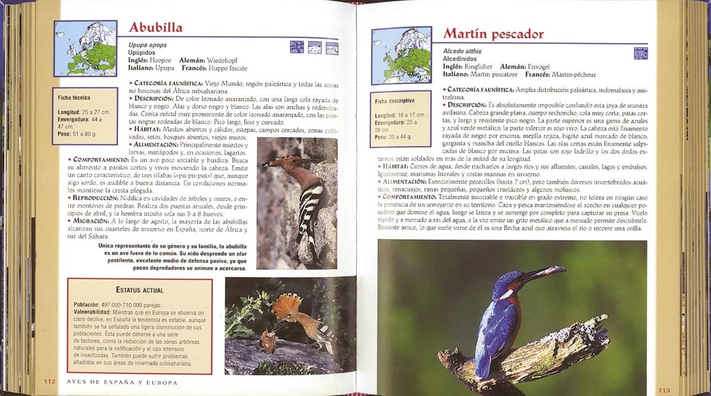 Aves de España y Europa Aves de España y Europa