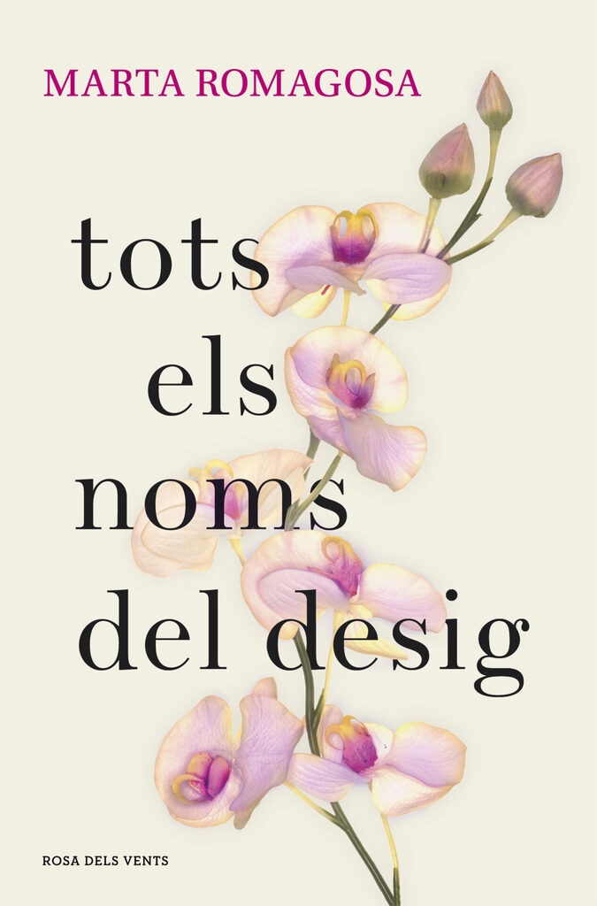 El llibre dels Baltimore
