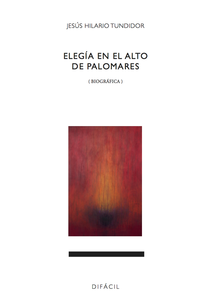 Anatomía de la mirada