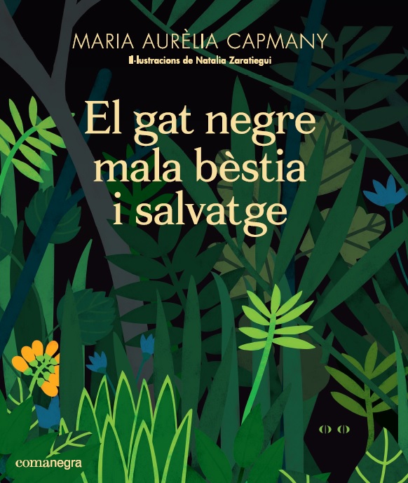 Només faltava això!