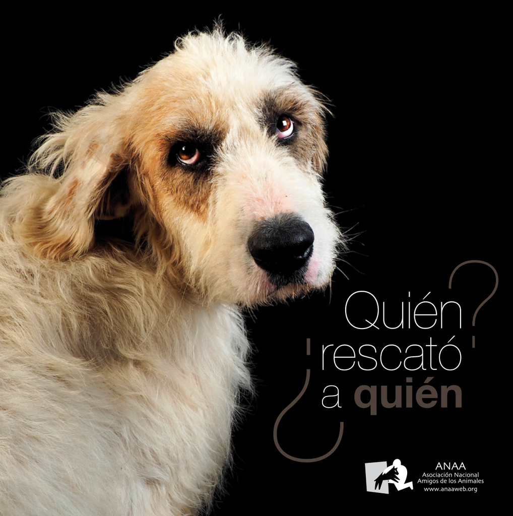EL ALMA de los animales