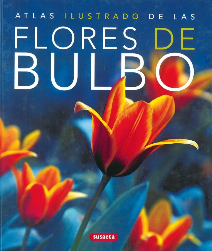 Proyectos de jardín
